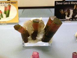 Denver Gem &amp; Mineral Show